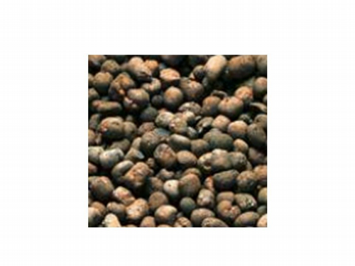 �������� / ����� ���� ���� �����  �� 50 ���� Leterlite Agrilite 50L