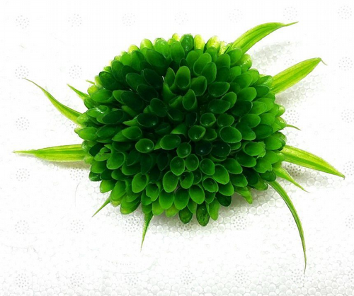 ��� ������ ������ 8X8 �"�  ���� 109GREEN