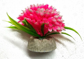 צמח פלסטיק פונפון 8X8 ס"מ ורוד 109PINK צמח פלסטיק פונפון 8X8 ס"מ ורוד 109PINK