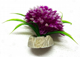 צמח פלסטיק פונפון 8X8 ס"מ סגול 109PURPLE צמח פלסטיק פונפון 8X8 ס"מ סגול 109PURPLE