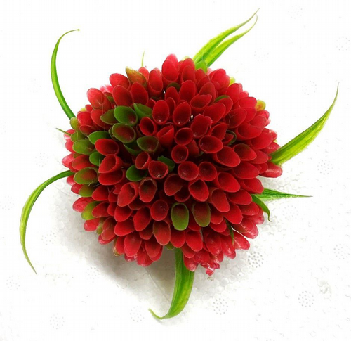 ��� ������ ������ 8X8 �"�  ���� 109RED