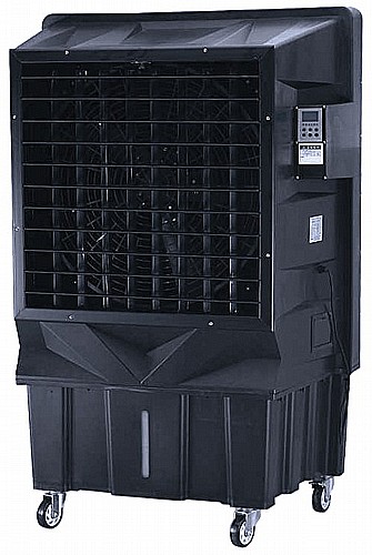 ���� �����