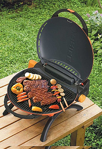 ���� �� ���� O GRILL ��� 31001 ������ Amgazit