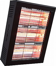 ���� ����� ������ ����