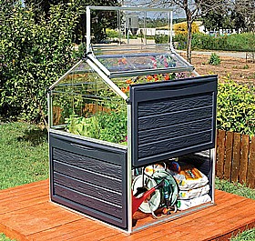 ���� ����