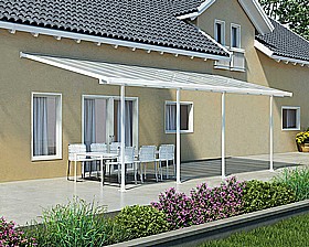 ������ ���������