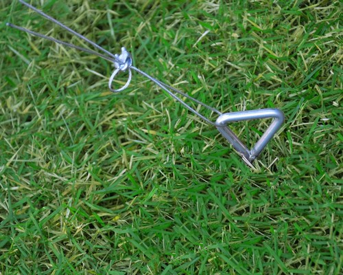 ���� ����� ����� ������ Canopia