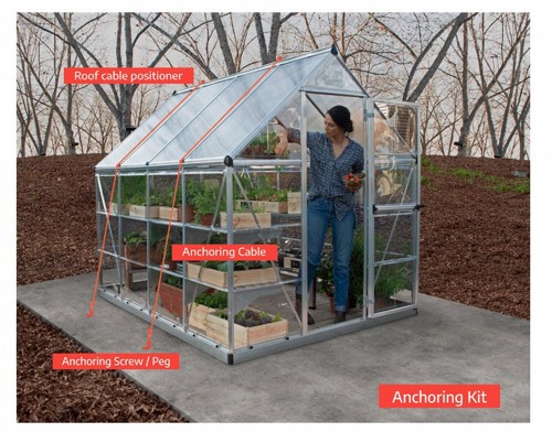 ���� ����� ����� ������ Canopia