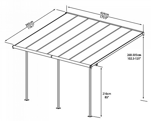 ������ ���������