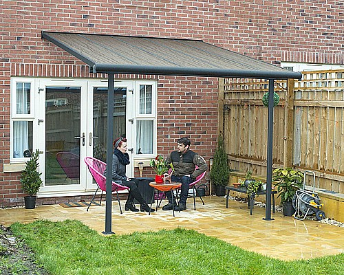 ������ ���������