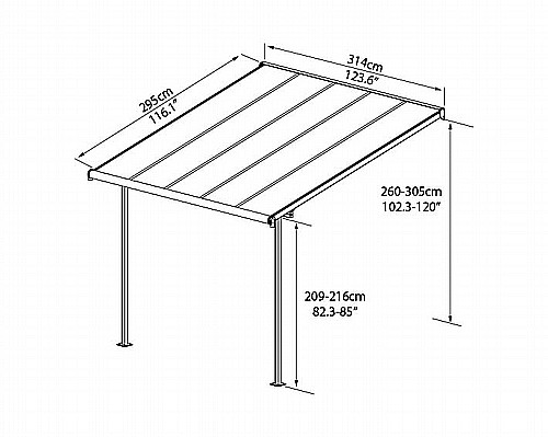 ������ ���������