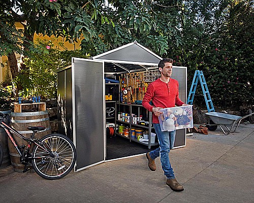 ���� �����