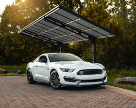 ���� ���� 2.9X6 ��� ����� Canopia Sydney WAVE