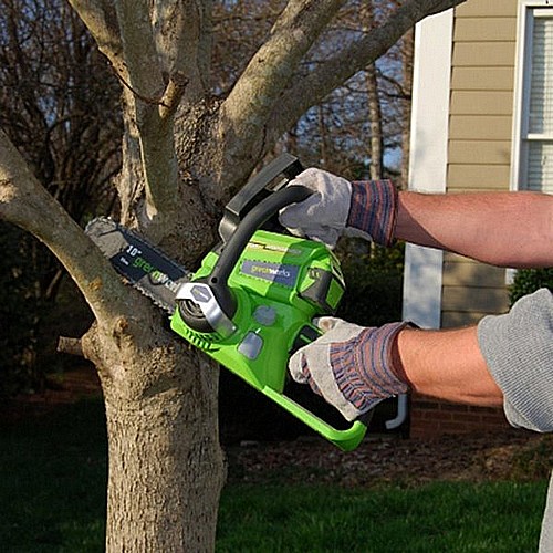���� ����� 24V ���� ���� ��� ������ 2A ����� ���� ���� ����� greenworks