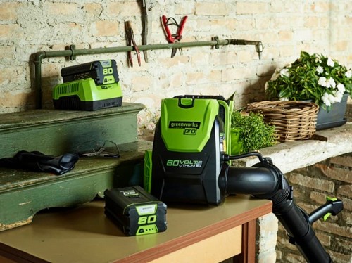 ���� �� 80V (��� ����) ���� ����� greenworks