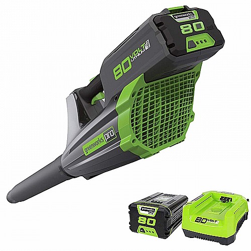 ���� ���� ������ 80V ���� ��� ������ 2.0AH ����� ���� ����� greenworks