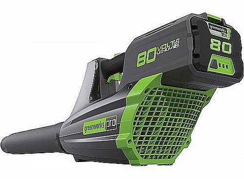 ���� ���� ������ 80V (��� ����) ���� ����� greenworks