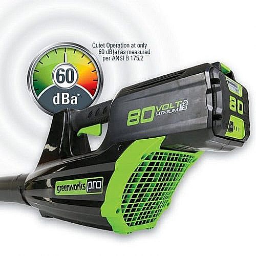 ���� ���� ������ 80V (��� ����) ���� ����� greenworks