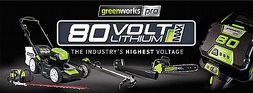���� ���� ������ 80V (��� ����) ���� ����� greenworks