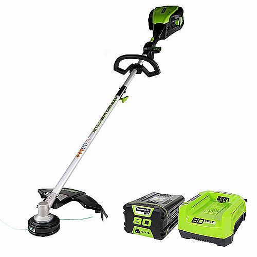 ����-���� ����� 80V ���� ����� 2A ����� ���� ���� ����� greenworks