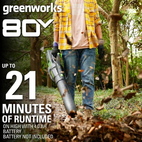���� ���� 233 ��"� 986 ��"�/��� 80V Pro (��� ����) ���� ����� greenworks