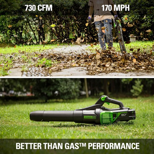 ���� ���� 233 ��"� 986 ��"�/��� 80V Pro (��� ����) ���� ����� greenworks