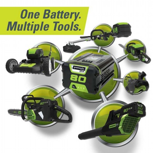 ����/���� ����� ���� �16 + ���� �������� 80V PRO (��� ����) ���� ����� greenworks