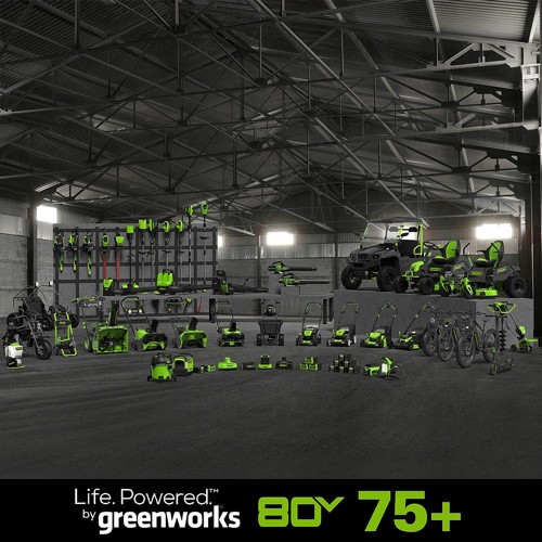 ����/���� ����� ���� �16 + ���� �������� 80V PRO (��� ����) ���� ����� greenworks