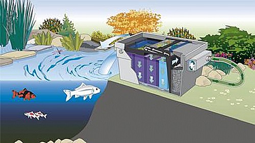 ����� ����� UV ��� ���� 55W ������� ���, ����������, ���� ������� ����� OASE BITRON 55 C