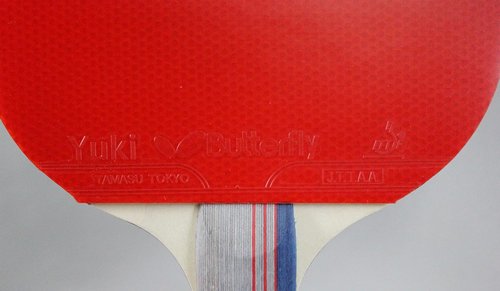 ���� ���� ����� ������� ������ ���� ����� BUTTERFLY TBC401