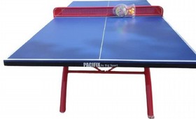 ���� ����� ���� ���� 