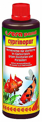 ����� ������ ������ ������ ��� ����� SERA CYPRINOPUR