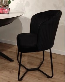 ���� ����� ���� ������ ��� ����� Bella