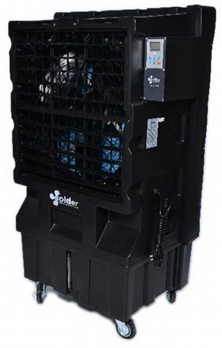 ���� �����