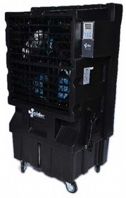 ���� �����