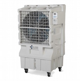 ���� ����� �������  