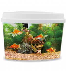 אקווריום 3.8 ליטר פלסטיק AQUA SYNCRO DA39 אקווריום 3.8 ליטר פלסטיק AQUA SYNCRO DA39