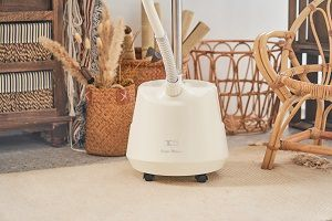 ���� ���� ���� ������� STAND STEAM 2200W