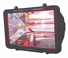 ���� ����� ������ ����