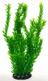 צמח פלסטיק גובה 40 ס"מ ירוק FA40cm120B צמח פלסטיק גובה 40 ס"מ ירוק FA40cm120B