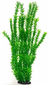 צמח פלסטיק גובה 60 ס"מ ירוק FA60cm120B צמח פלסטיק גובה 60 ס"מ ירוק FA60cm120B