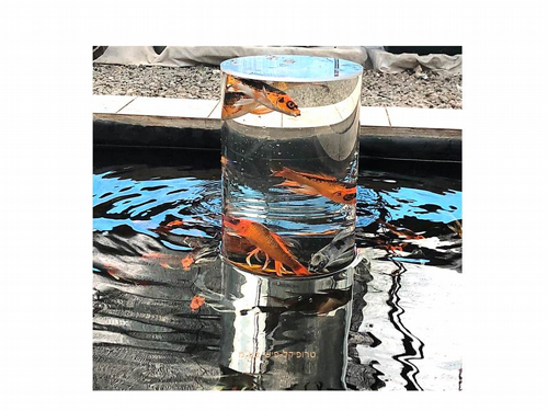 ���� ���� �������� ������ ��� ������ UBBINK FISHTOWER-50