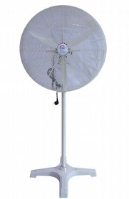 ������ ������� "26 ��� ���