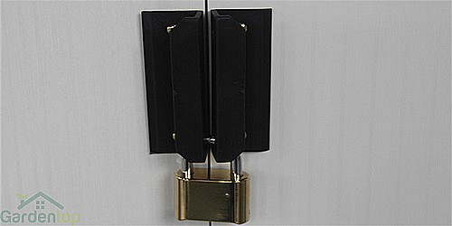 ���� ���� �������