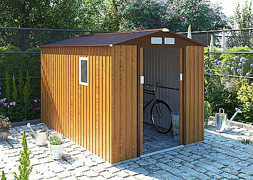 ���� ���� �������