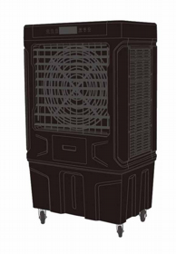 ���� ����� ����� ������� ���� ���