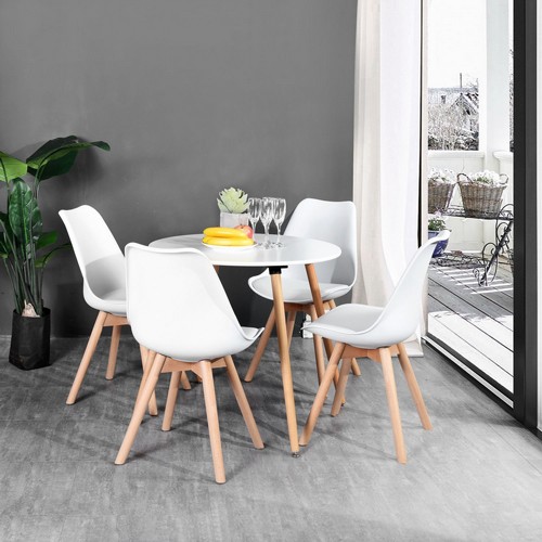 ����� ���� ����� ���� ��� HOMAX ROOKIE