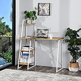 ���� ����� 