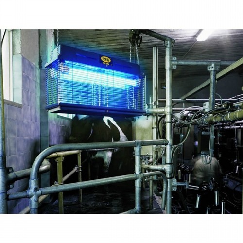 ���� ������ MOEL CRI CRI 307 Mo-el