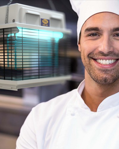 ���� ������ ������� ������ MOEL CRI CRI 309 Mo-el